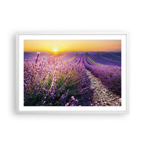 Affiche dans un cadre blanc - Poster - Tige parfumée - 70x50 cm