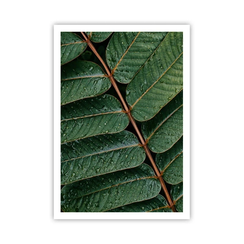 Affiche - Poster - Au rythme de la verdure - 70x100 cm