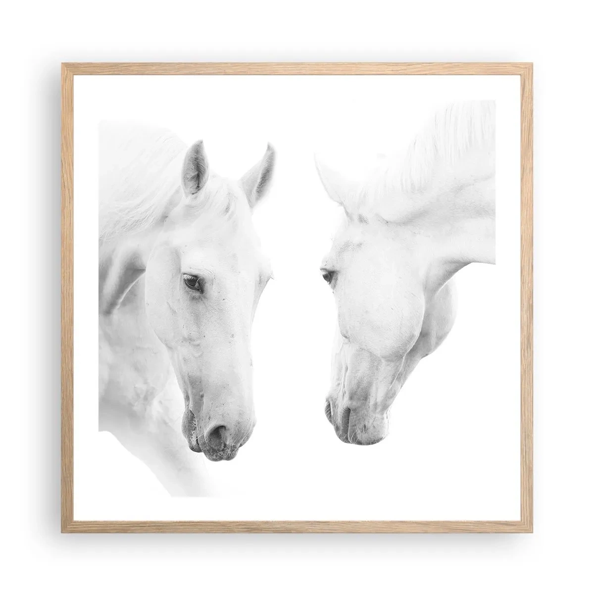 Affiche dans un chêne clair - Poster - Serait-ce de l’amitié? - 60x60 cm