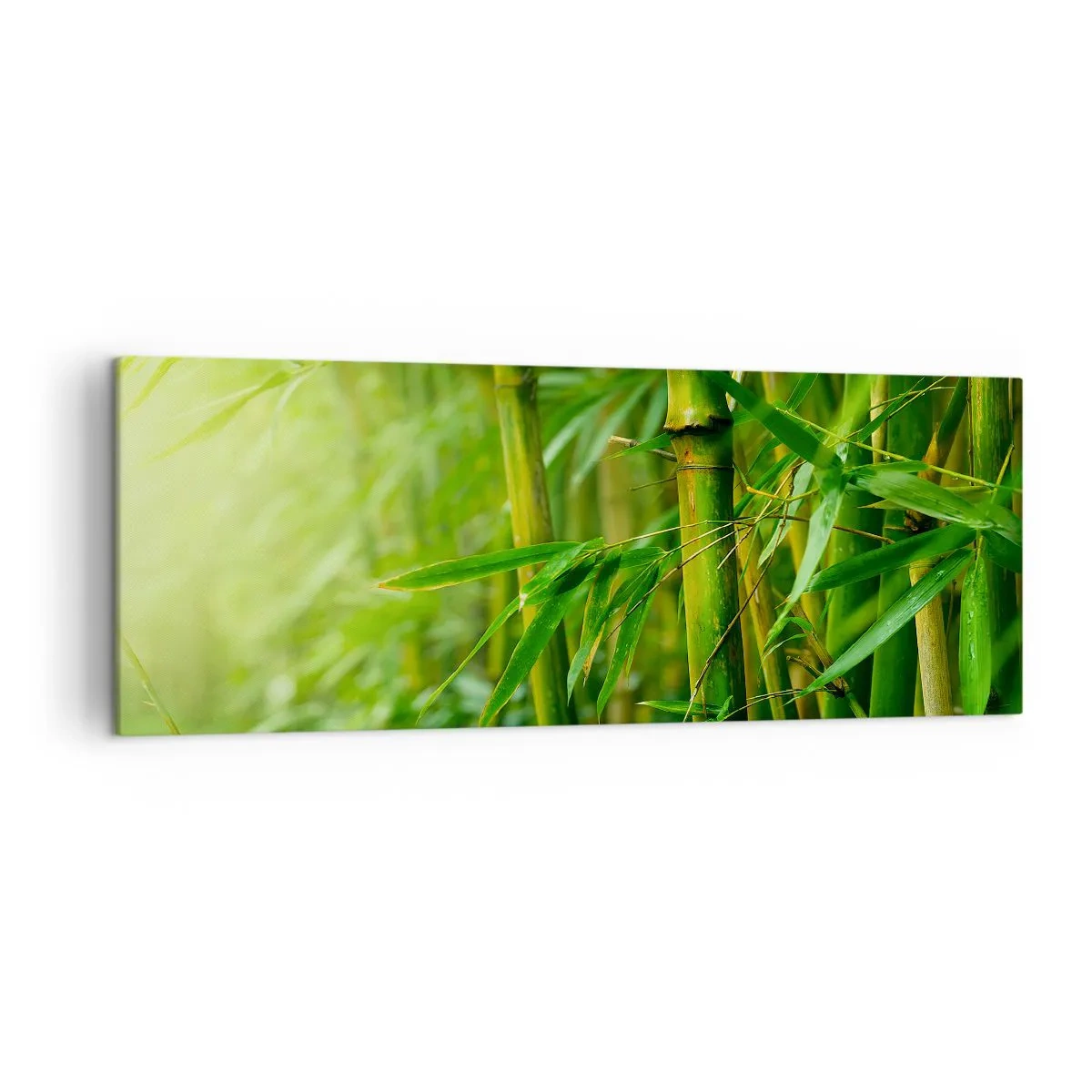 Impression sur toile - Image sur toile - Forêt de bambous verts dans une lumière douce - 140x50cm - Apprenez à connaître le vert lui-même - Décoration murale moderne pour le salon et la chambre ARTTOR