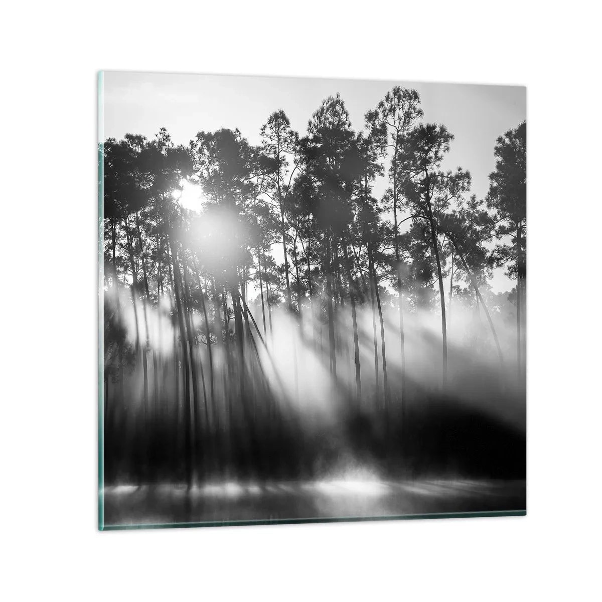 Impression sur verre - Image sur verre - Soleil inarrêtable - 50x50 cm