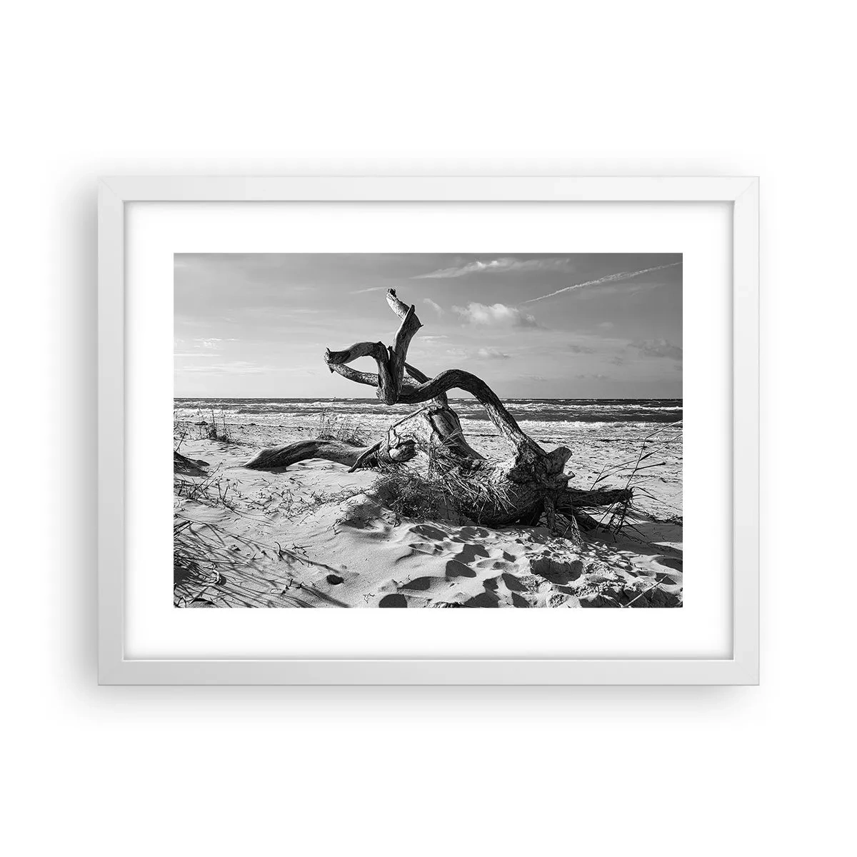 Affiche dans un cadre blanc - Poster - Sculpture marine - 40x30 cm