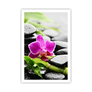 Affiche - Poster - Dans un équilibre de calme - 61x91 cm