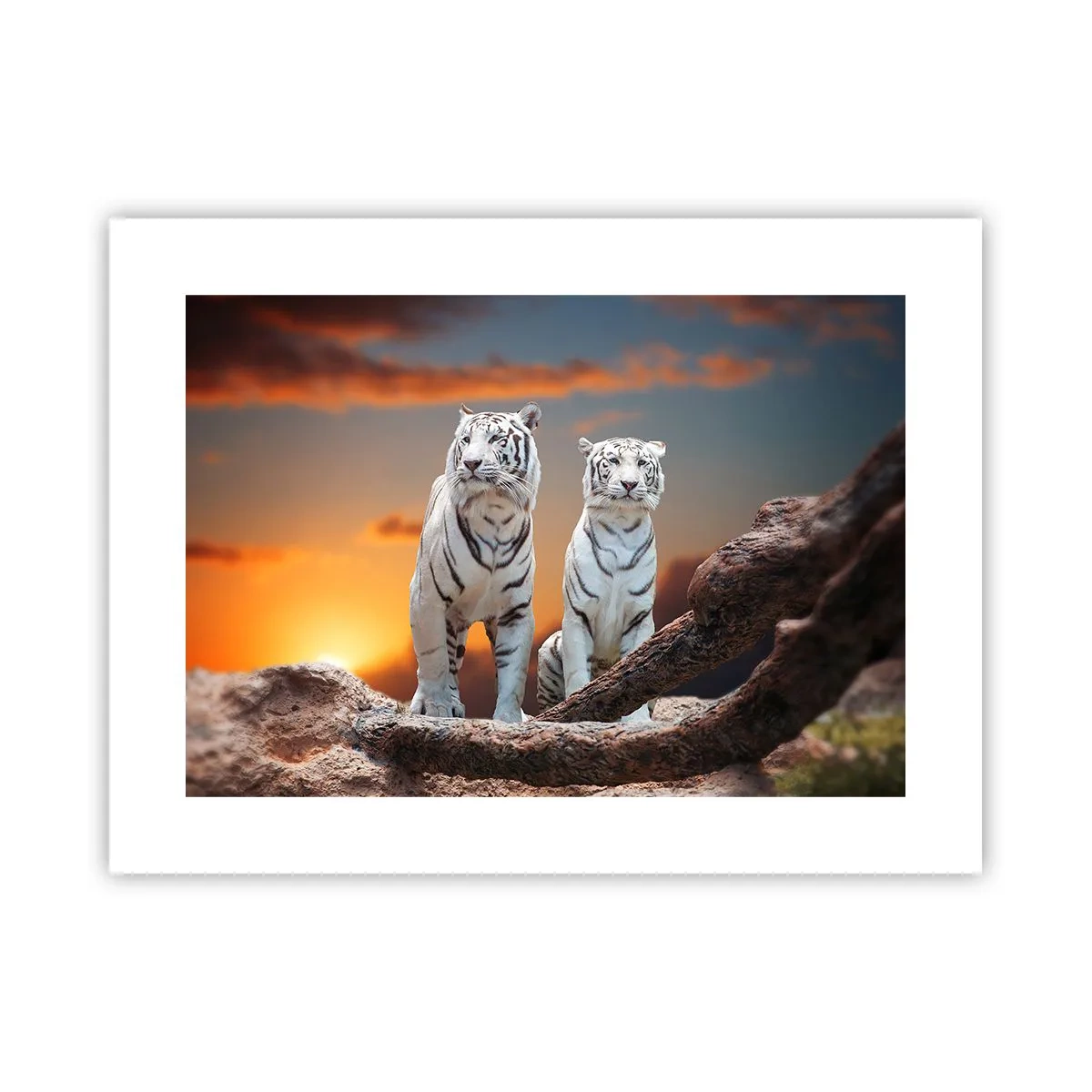 Affiche - Poster - Tout comme à Narnia - 40x30 cm