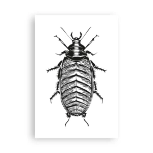 Affiche - Poster - Quel spécimen! - 61x91 cm