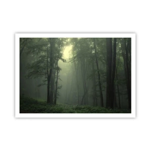 Affiche - Poster - Une forêt verte le matin enveloppée d'un brouillard délicat - 100x70cm - Avant qu'il ne se réveille - Décoration murale moderne pour le salon et la chambre ARTTOR