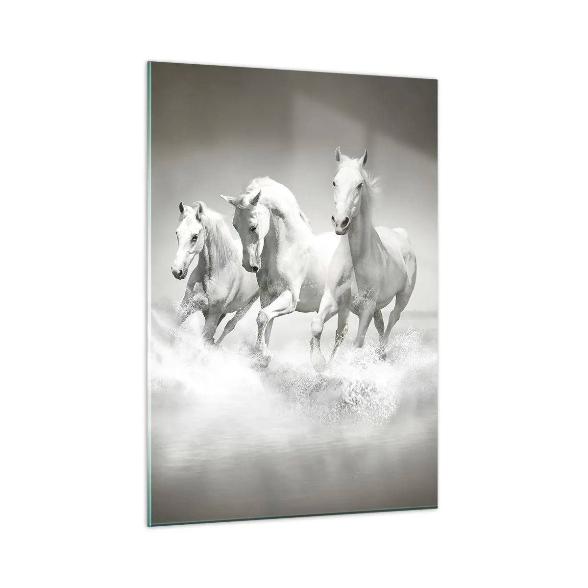 Impression sur verre - Image sur verre - Trois chevaux blancs galopant dans l'eau - 50x70cm - La folie blanche - Décoration murale moderne pour le salon et la chambre ARTTOR