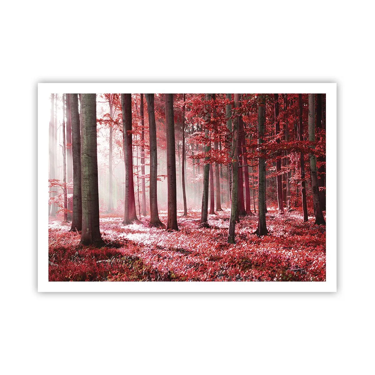 Affiche - Poster - Une forêt époustouflante aux teintes rouges avec des rayons de lumière pénétrant à travers les arbres - 100x70cm - Le rouge est tout aussi beau - Décoration murale moderne pour le salon et la chambre ARTTOR