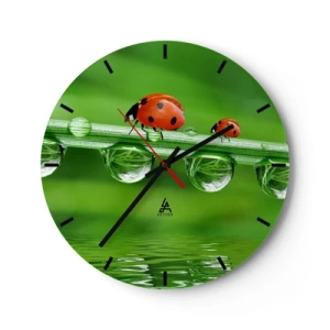 Horloge murale - Pendule murale - Coccinelles sur un brin d'herbe avec des gouttes d'eau - 30x30cm - Sur la route tout l'été - Décoration murale moderne pour le salon, la cuisine et la chambre ARTTOR