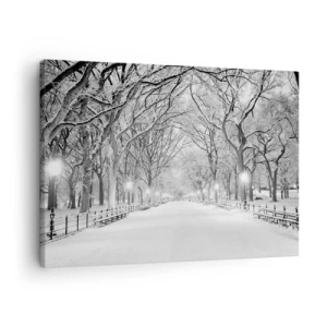 Impression sur toile - Image sur toile - Une allée d'hiver avec des arbres enneigés en monochrome - 70x50cm - Les quatres saisons – l’hiver - Décoration murale moderne pour le salon et la chambre ARTTOR