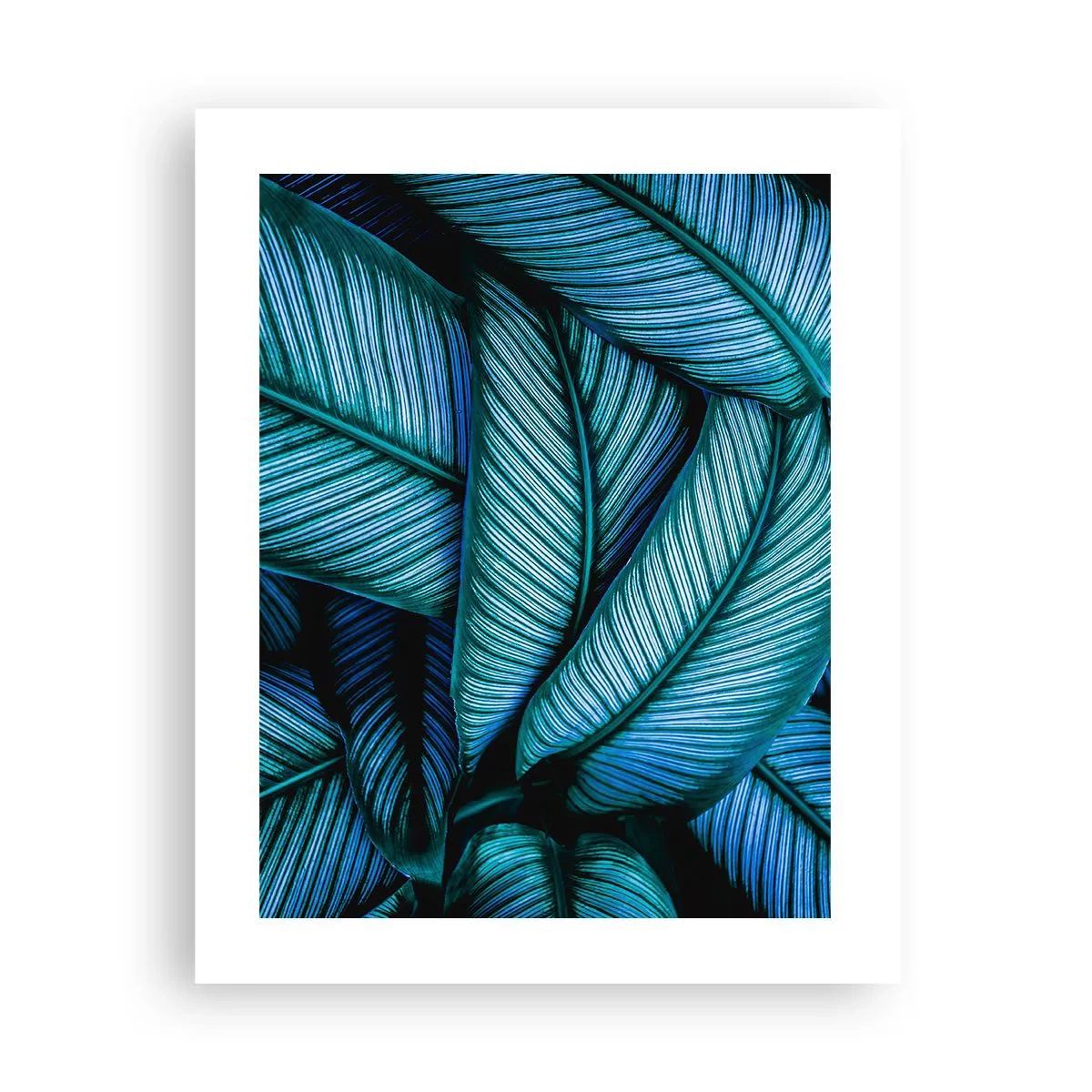 Affiche - Poster - Lignes de vie - 40x50 cm