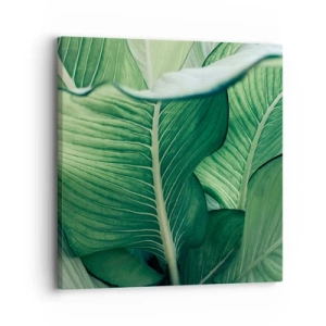 Impression sur toile - Image sur toile - Une vie intensément verte - 30x30 cm