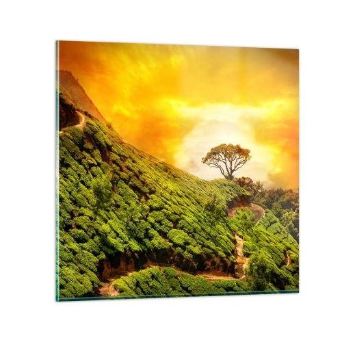 Impression sur verre - Image sur verre - Un chemin sinueux, une pente verte - 30x30 cm