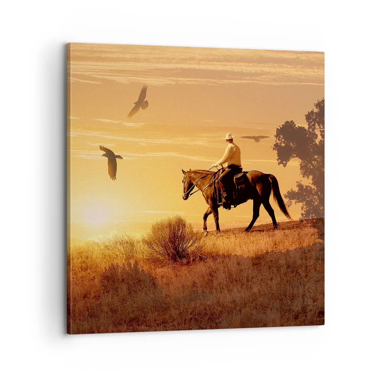 Impression sur toile - Image sur toile - Seul à travers la prairie - 60x60 cm