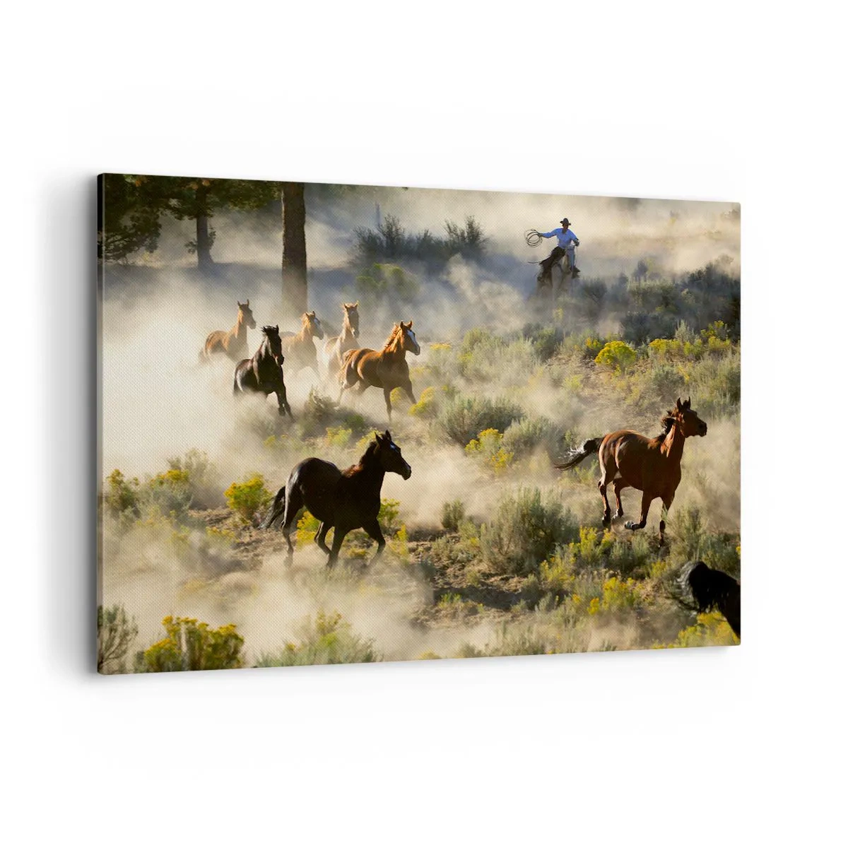 Impression sur toile - Image sur toile - Un troupeau de chevaux sauvages galopant à travers la poussière et la végétation - 120x80cm - Rivalité - liberté ou force masculine ? - Décoration murale moderne pour le salon et la chambre ARTTOR