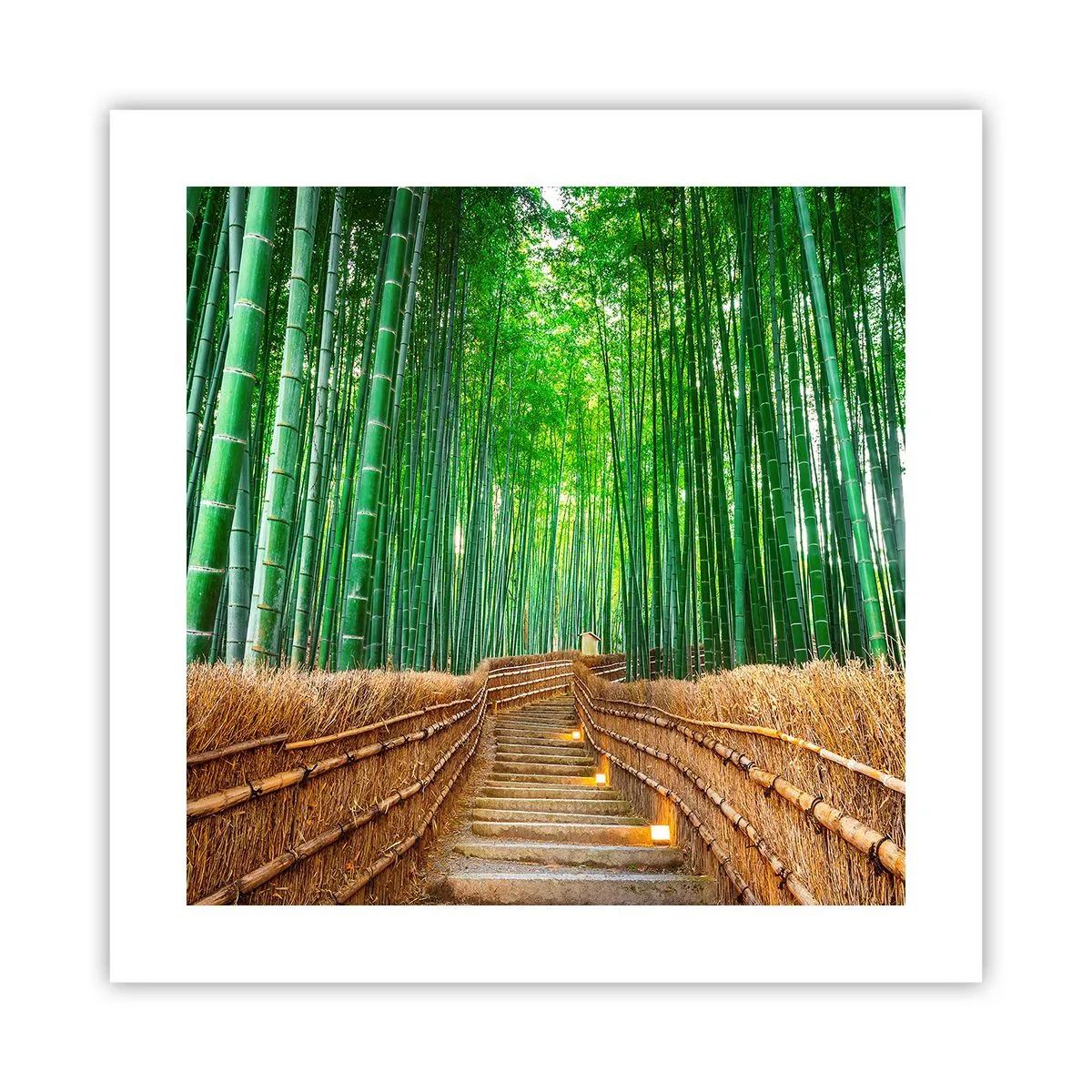 Affiche - Poster - L'essence de la nature asiatique - 40x40 cm