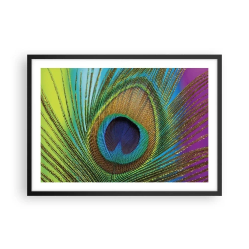 Affiche dans un cadre noir - Poster - Gros plan d'une plume de paon aux couleurs vives - 70x50cm - Les yeux dans les yeux - Décoration murale moderne pour le salon et la chambre ARTTOR