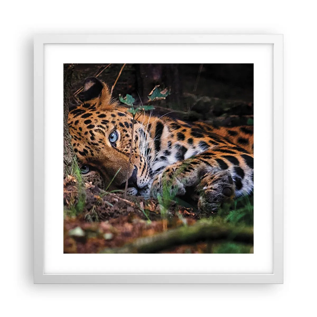 Affiche dans un cadre blanc - Poster - Fais-moi confiance - 40x40 cm