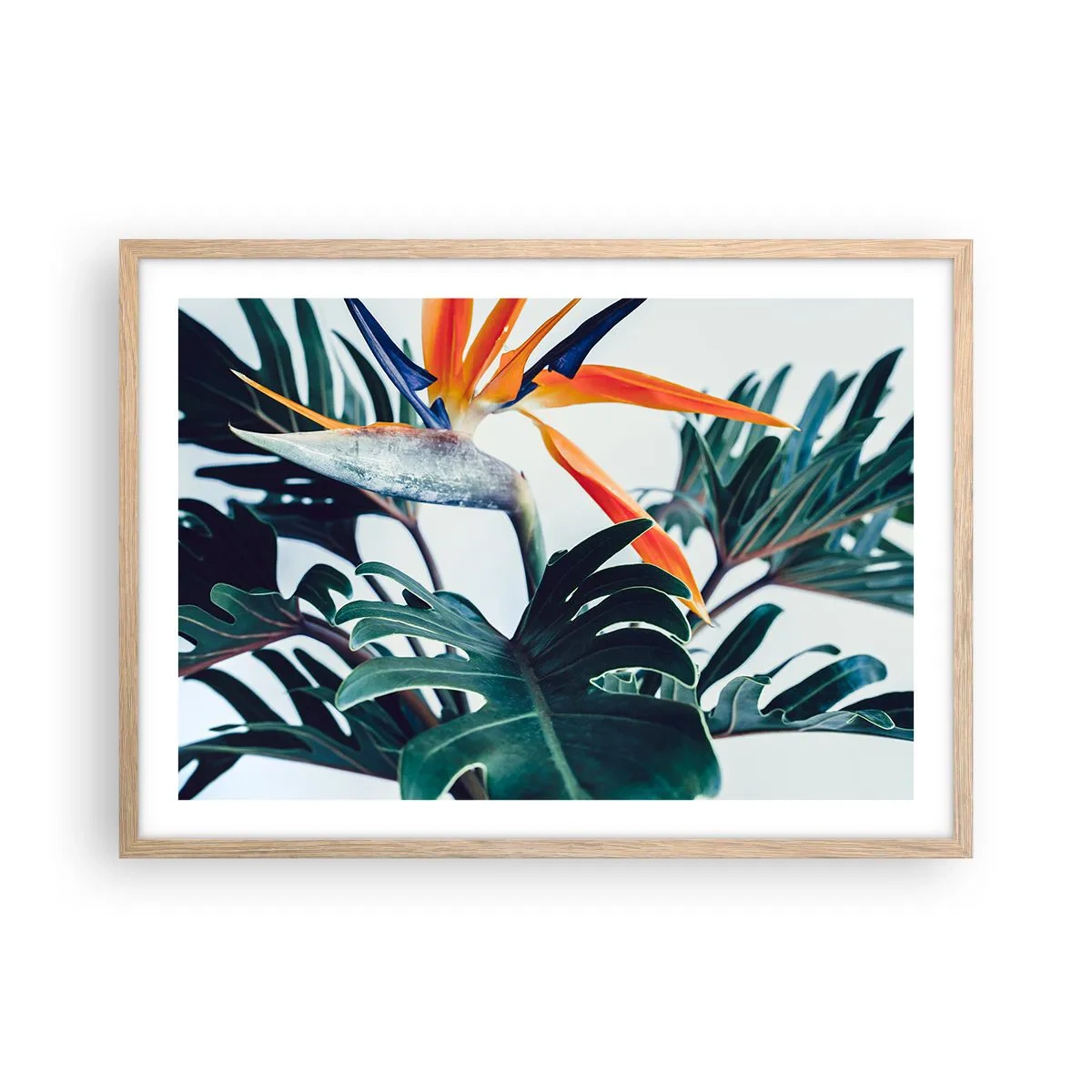 Affiche dans un chêne clair - Poster - Le buisson oiseaux - 70x50 cm