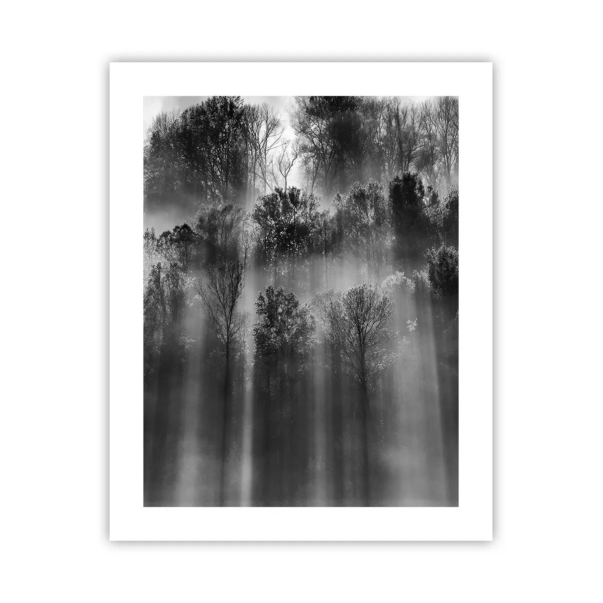 Affiche - Poster - Dans les flots de lumière - 40x50 cm