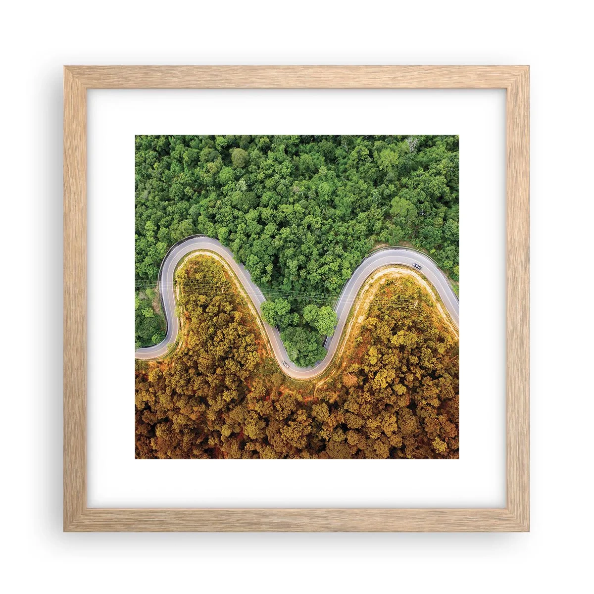 Affiche dans un chêne clair - Poster - Frontieres et differences - 30x30 cm