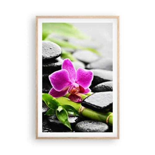 Affiche dans un chêne clair - Poster - Dans un équilibre de calme - 61x91 cm