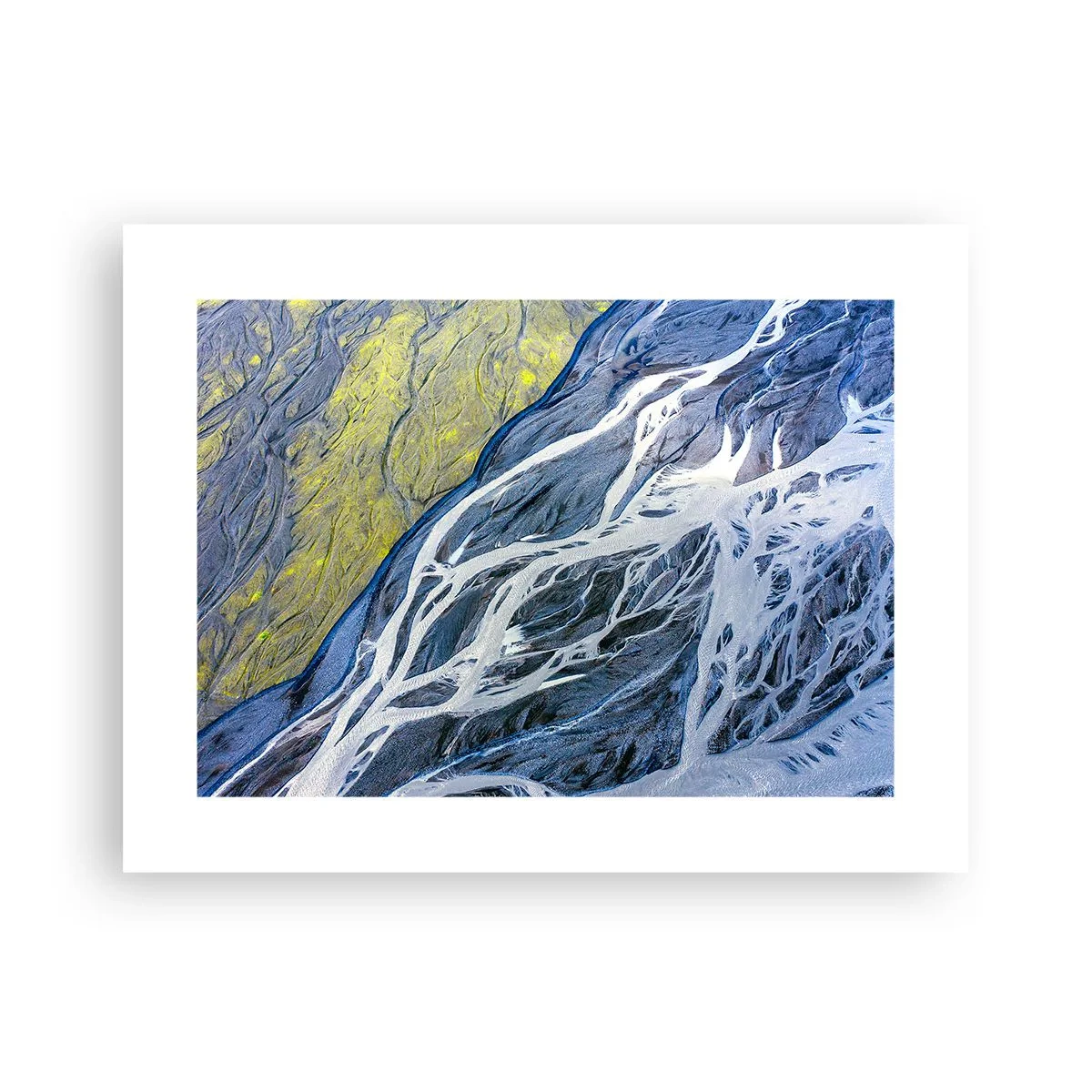 Affiche - Poster - Peintures rupestres de la nature - 40x30 cm