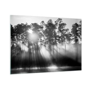 Impression sur verre - Image sur verre - Arbres noirs et blancs dans une forêt avec des rayons de soleil dans la brume - 100x70cm - Soleil inarrêtable - Décoration murale moderne pour le salon et la chambre ARTTOR