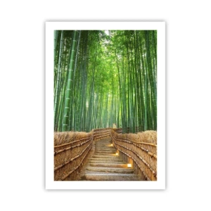 Affiche - Poster - Chemin à travers la forêt de bambous avec éclairage - 50x70cm - L'essence de la nature asiatique - Décoration murale moderne pour le salon et la chambre ARTTOR