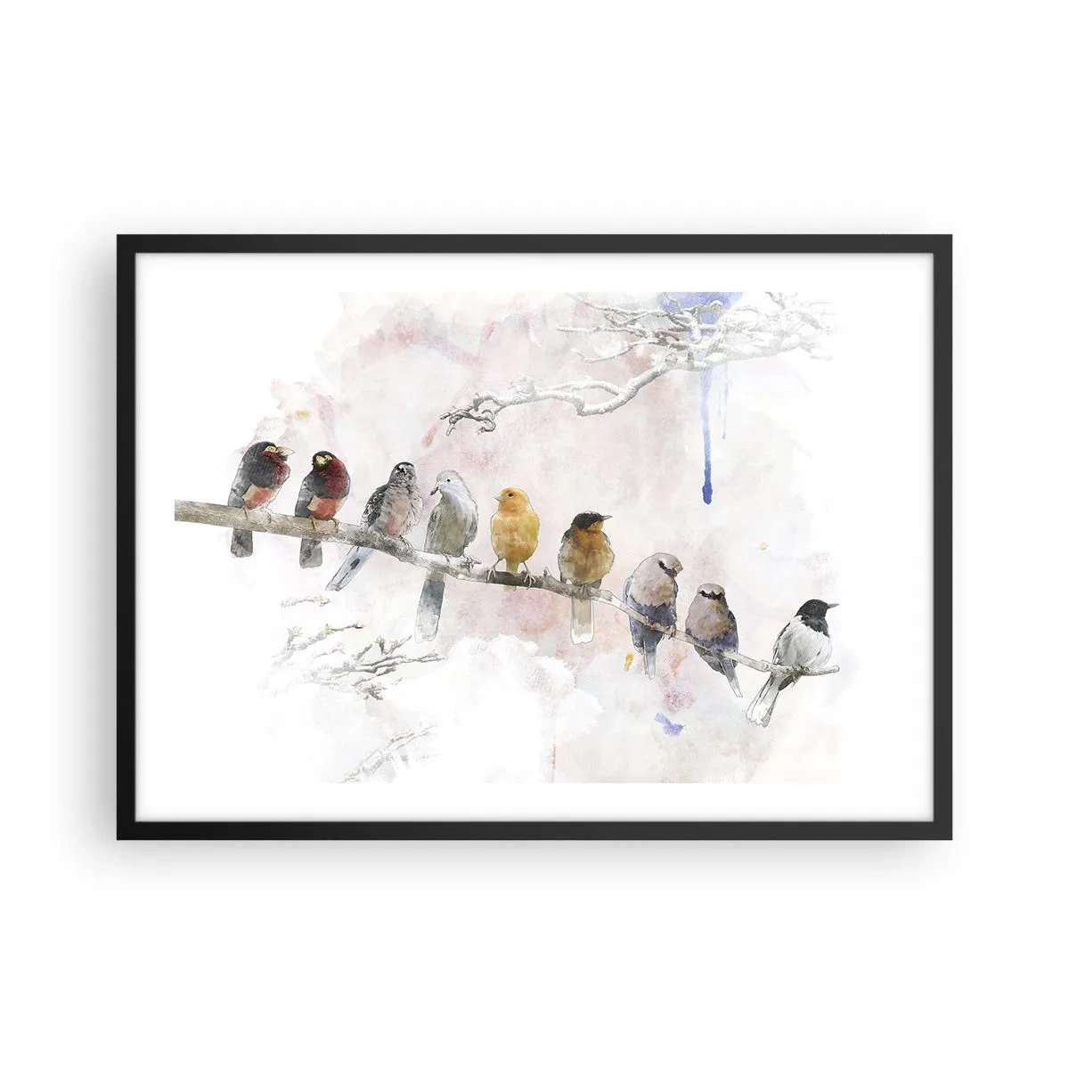 Affiche dans un cadre noir - Poster - Oiseaux colorés sur une branche dans un style aquarelle - 70x50cm - Rencontre ailée - Décoration murale moderne pour le salon et la chambre ARTTOR