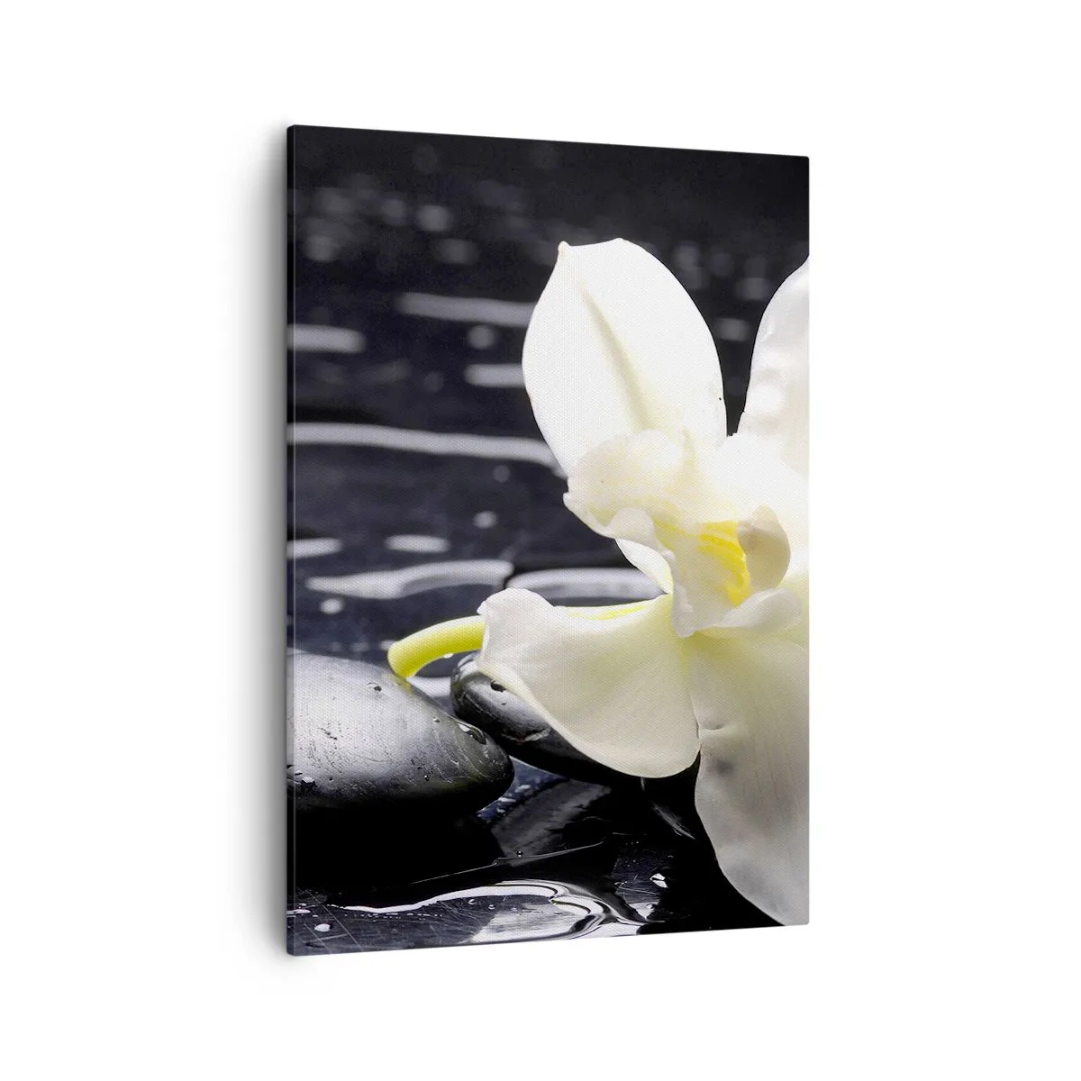 Impression sur toile - Image sur toile - Une orchidée blanche sur un fond de pierres noires et d'eau. - 50x70cm - Étude en noir et blanc - Décoration murale moderne pour le salon et la chambre ARTTOR