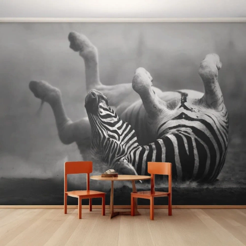 Papier Peint Photo Premium Sand - Un zèbre noir et blanc se roulant dans le sable de la savane - 100x70cm - Pas uniquement le cheval en rirait - Décoration murale moderne pour le salon et la chambre ARTTOR