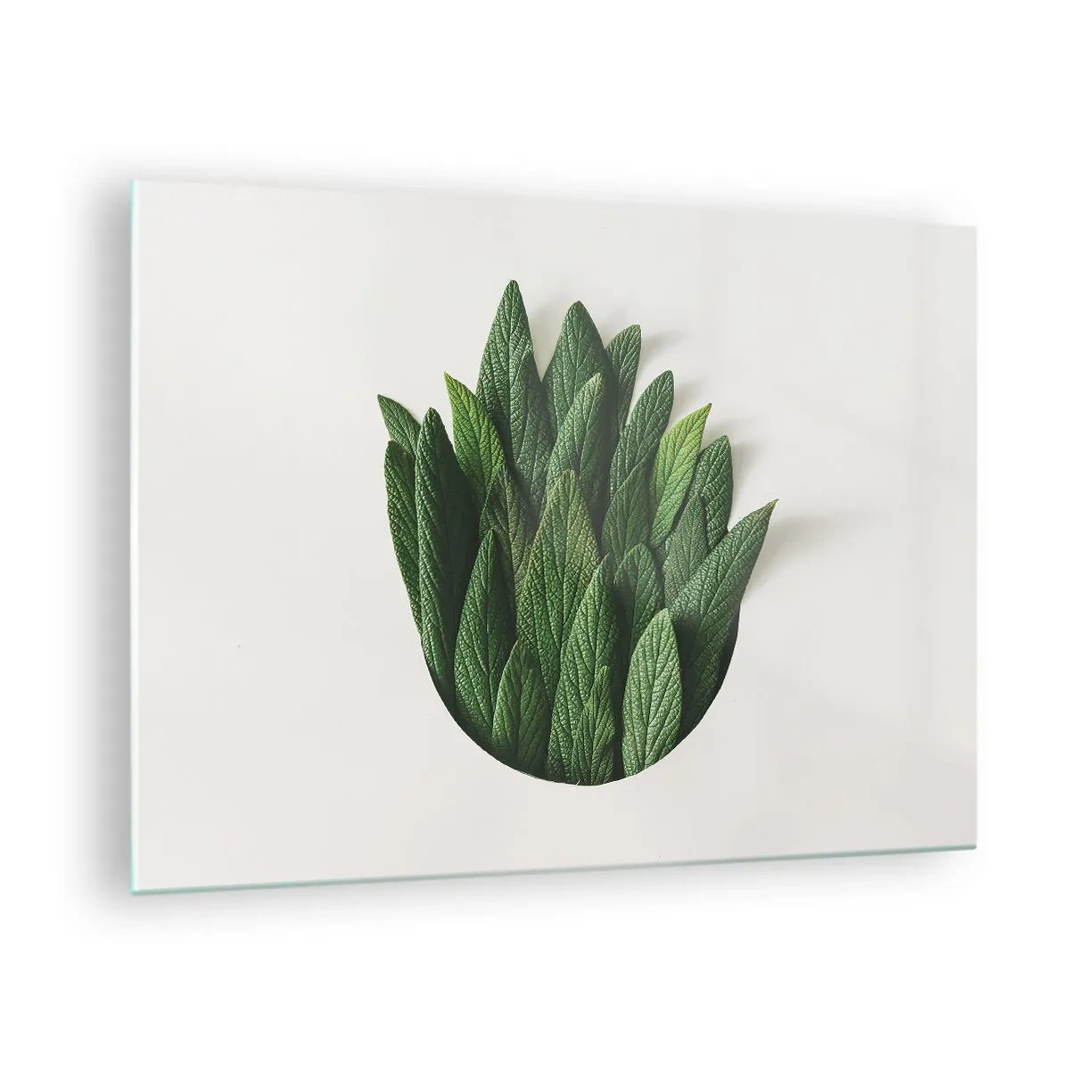 Impression sur verre - Image sur verre - Feuilles vertes disposées en forme de vase sur fond blanc - 70x50cm - Curiosité sans retenue - Décoration murale moderne pour le salon et la chambre ARTTOR