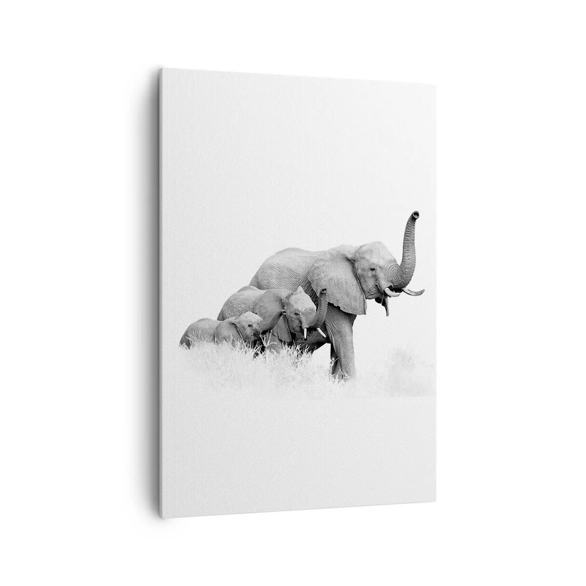 Impression sur toile - Image sur toile - Une famille d'éléphants sur fond de paysage africain en noir et blanc. - 70x100cm - Un, deux, trois - Décoration murale moderne pour le salon et la chambre ARTTOR