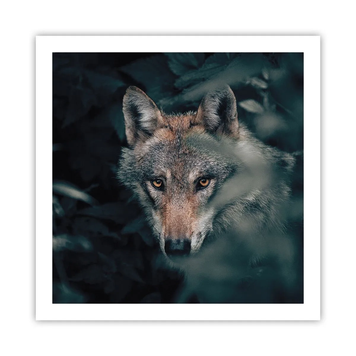 Affiche - Poster - Chasseur - 60x60 cm