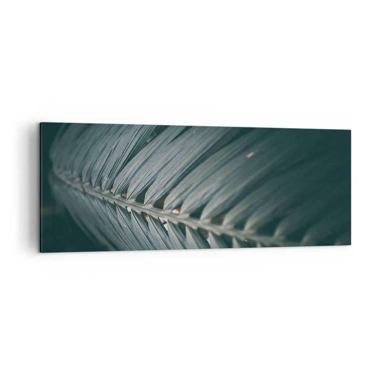 Impression sur toile - Image sur toile - Gros plan d'un détail de feuille de palmier aux tons sombres - 140x50cm - Précision de la nature - Décoration murale moderne pour le salon et la chambre ARTTOR