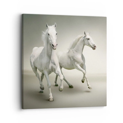 Impression sur toile - Image sur toile - White power! - 30x30 cm