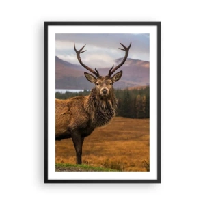 Affiche dans un cadre noir - Poster - Photographie d'un cerf dans un paysage de montagne - 50x70cm - Majesté de la nature - Décoration murale moderne pour le salon et la chambre ARTTOR