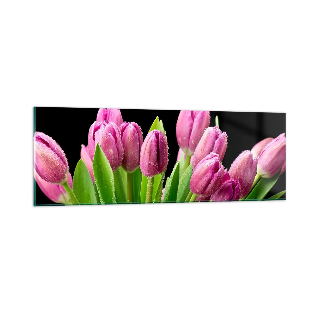 Impression sur verre - Image sur verre - Joie printanière des lilas - 90x30 cm