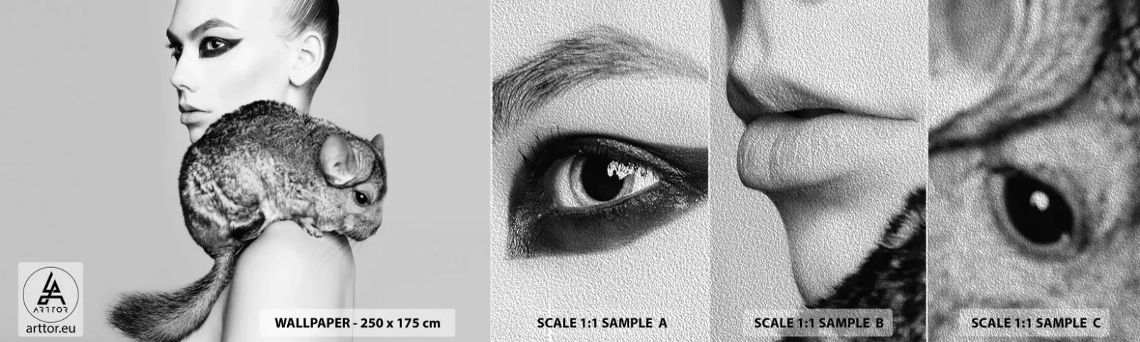 Échantillon de Papier Peint Premium Sand - Dame au chinchilla - Femme, Femme avec Chinchilla, Modèle - 100x30 cm