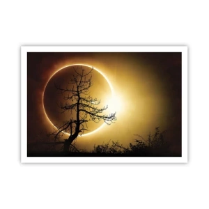 Affiche - Poster - Éclipse solaire avec une silhouette d'arbre au premier plan - 100x70cm - Éclipse totale - Décoration murale moderne pour le salon et la chambre ARTTOR