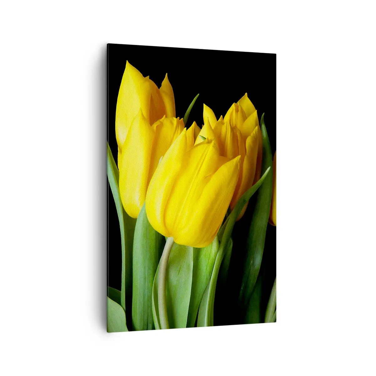 Impression sur toile - Image sur toile - Un bouquet de tulipes jaunes sur fond noir - 80x120cm - Lever de soleil pur - Décoration murale moderne pour le salon et la chambre ARTTOR
