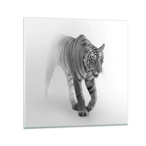 Impression sur verre - Image sur verre - Accroupi dans le brouillard - 60x60 cm