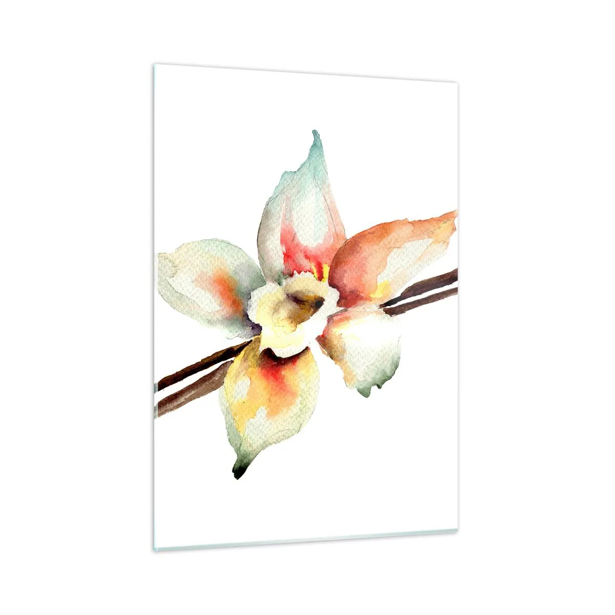 Impression sur verre - Image sur verre - Illustration à l'aquarelle d'une fleur de vanille sur fond blanc - 50x70cm - Douceur de couleur renversée - Décoration murale moderne pour le salon et la chambre ARTTOR