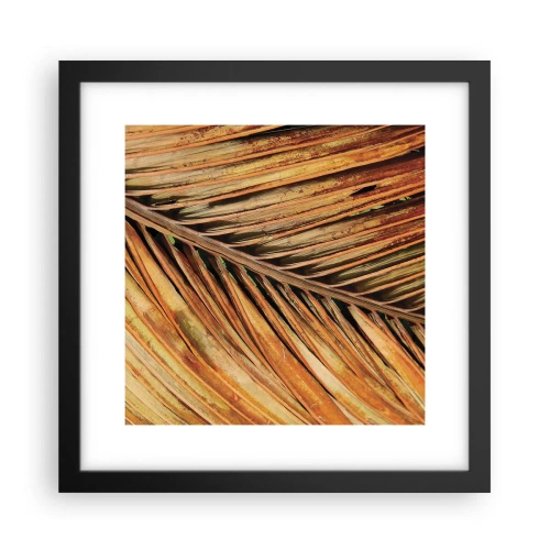 Affiche dans un cadre noir - Poster - Or de noix de coco - 30x30 cm