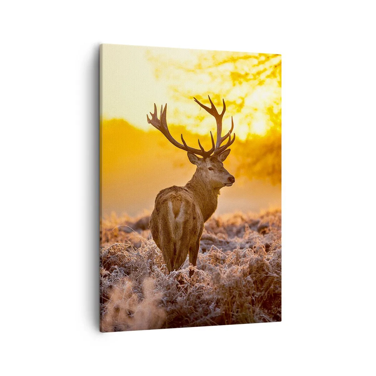 Impression sur toile - Image sur toile - Un cerf sur fond de forêt d'automne illuminée par le soleil doré - 50x70cm - Roi de la forêt automnal - Décoration murale moderne pour le salon et la chambre ARTTOR