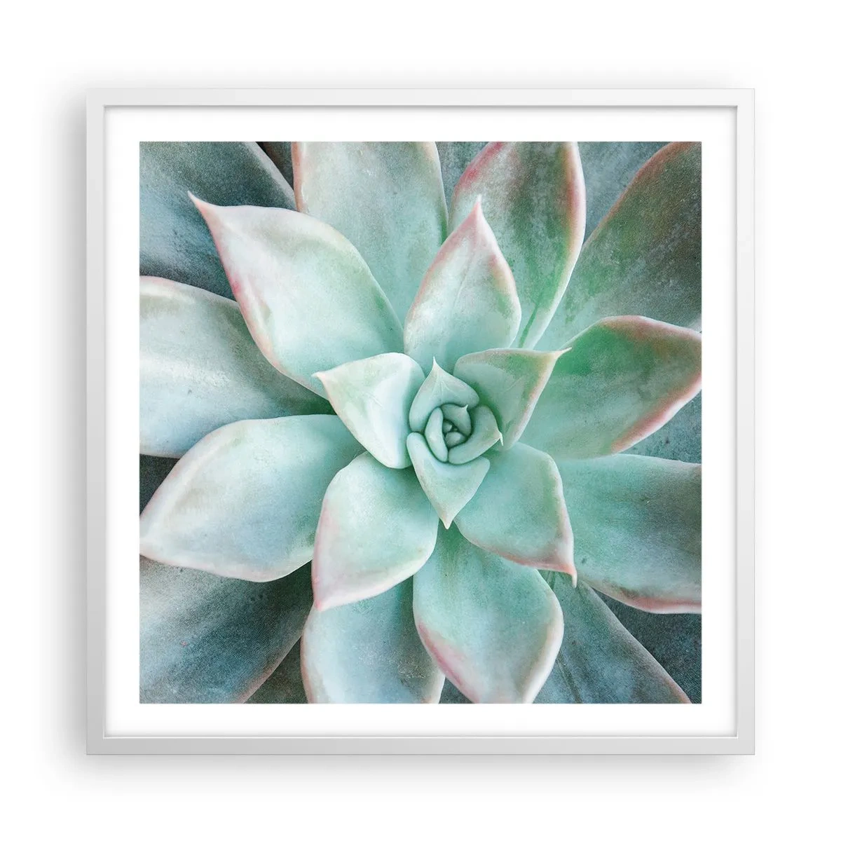 Affiche dans un cadre blanc - Poster - Le coeur du désert - 60x60 cm