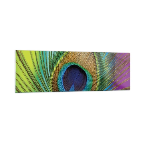 Impression sur verre - Image sur verre - Gros plan d'une plume de paon aux couleurs vives - 160x50cm - Les yeux dans les yeux - Décoration murale moderne pour le salon et la chambre ARTTOR