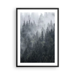 Affiche dans un cadre noir - Poster - Une forêt brumeuse avec de grands conifères - 50x70cm - Aube de la forêt - Décoration murale moderne pour le salon et la chambre ARTTOR