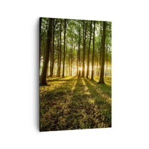 Impression sur toile - Image sur toile - Le soleil couchant dans la forêt de feuillus - 50x70cm - Toutes les photographies de printemps - Décoration murale moderne pour le salon et la chambre ARTTOR